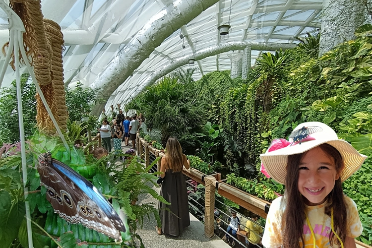 Konya'nın tropikal turizm yıldızı... 2025'te de ziyaret&ccedil;i akınına uğradı