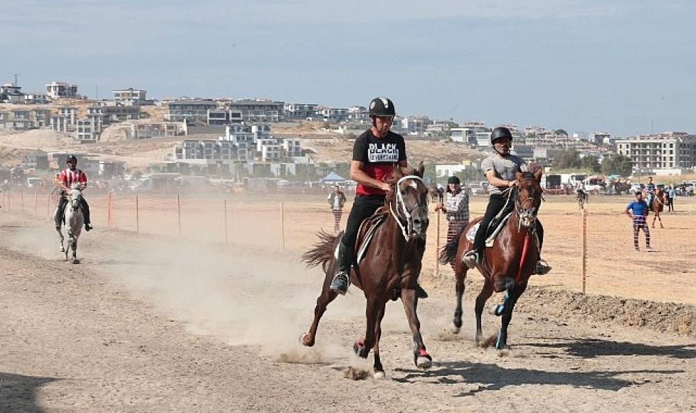 Türkiye'nin şampiyon atları Menemen'de yarıştı